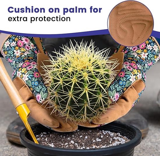 Vrouw draagt bloemenhandschoenen om een cactus te verpotten. Kussentje op de handpalm voor extra bescherming.
