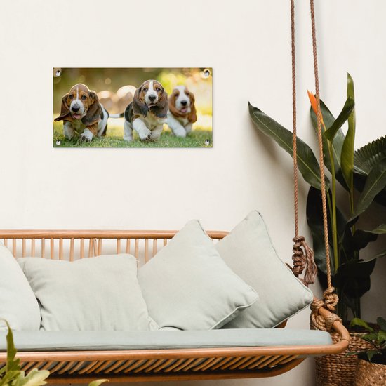 Poster de jardin Les chiots courent dans l'herbe - 60x30 cm - Toile de jardin - Poster extérieur