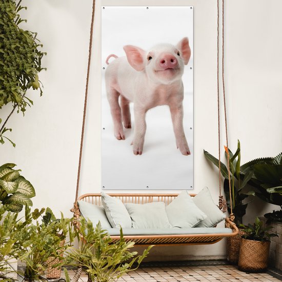 Affiche de clôture Cochon - Animaux - Wit - 100x200 cm - Toile de jardin
