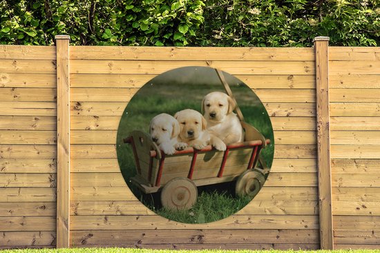 Cercle de jardin Trois adorables chiots Golden Retriever dans un chariot - 150x150 cm - Affiche de jardin ronde - Extérieur