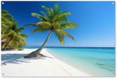 Tuinposter strand - Tuindecoratie palmboom - 120x80 cm - Poster voor in de tuin - Buiten decoratie - Schutting tuinschilderij Hawaii - Tuindoek muurdecoratie - Wanddecoratie balkondoek