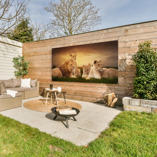 Affiche de clôture Lions - Herbe - Ciel - 200x100 cm - Toile de jardin