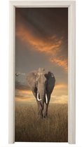 Deurposter 80x205 cm - Deursticker Olifant - Dieren - Gras - Natuur - Meubelfolie zelfklevend - Deurfolie woonkamer - Interieurfolie fotobehang - Deur plakfolie - Deurstickers - Deurbehang sticker - Kamer decoratie
