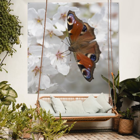 Poster Jardin Papillon paon sur fleur de cerisier - 200x200 cm - Toile jardin - Poster extérieur