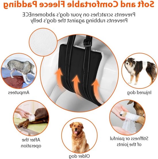 Hondenhulpmiddel voor Achterpootondersteuning, Verstelbare Draagband voor Oudere Honden, Steun voor Zwakke Achterpoten en Honden met Verwondingen (L) — afbeelding 3
