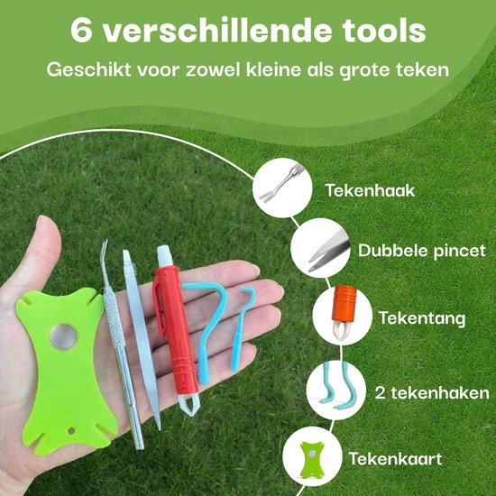 Set van 6 verschillende tekengereedschappen, waaronder een tekengereedschap van RVS, een dubbele pincet, een tekentang, 2 tekengereedschappen van kunststof, en een tekengereedschap.