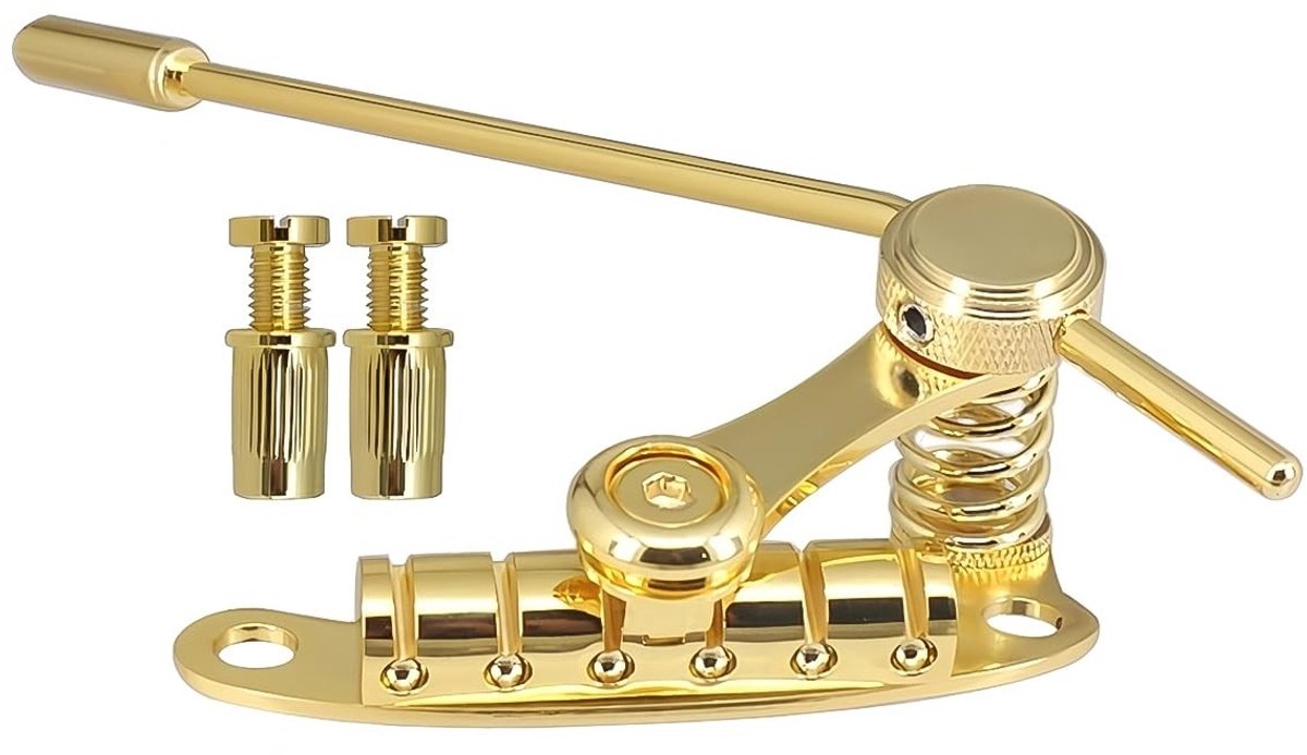 Dailygoods - Dailygoody - Gitaar Tremolo Brug - Vibrato Systeem - Eenvoudig te installeren - Goud - Hoogwaardige zinklegering - Geschikt voor LP SG gitaren