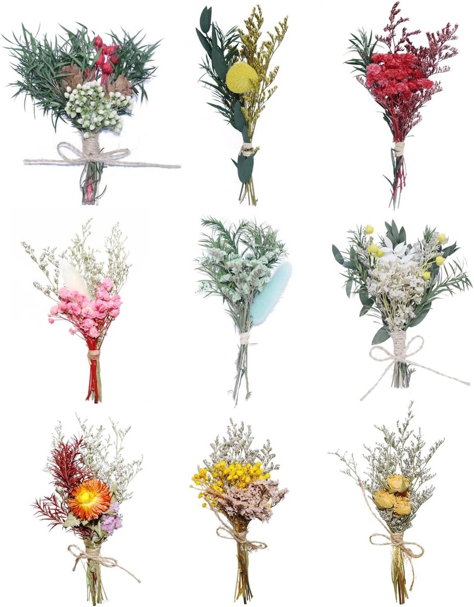Mini boeketjes met gedroogde bloemen - 9 stuks - Boho decoratie voor ambachten, bruiloften en cadeaus