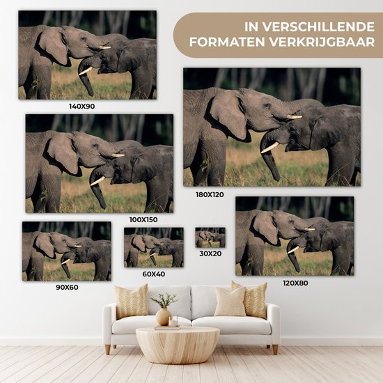 Toile d'éléphants gambadeurs 2cm 30x20 cm - petit - Tirage photo sur toile (Décoration murale salon / chambre) / animaux sauvages Peintures sur toile