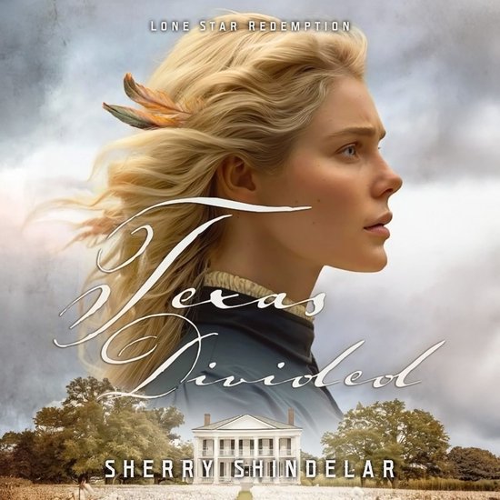 Texas Divided - cover