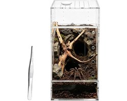 Terrarium Voor Spinnen | Uitbraakbestendig Transparant Luchtdoorlatend - Hagedissenverblijf en Spinnenterrarium | Geschikt Voor Vogelspin Gekko Hagedis Slang Voeren Kweken en Klimmen