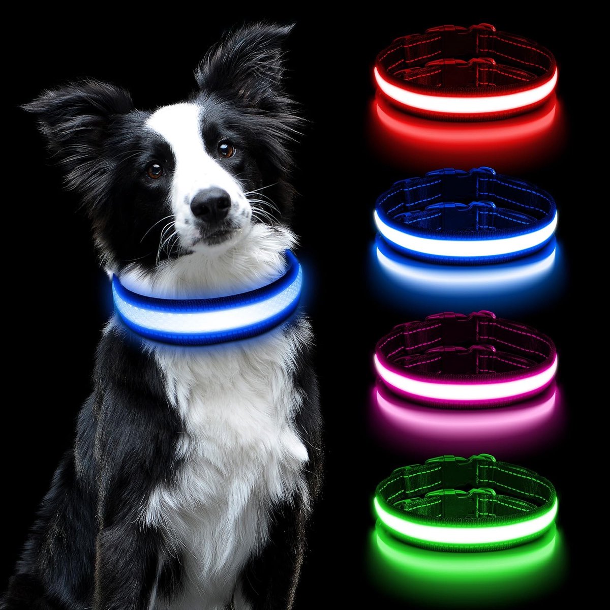 Dailygoody - Solidchoice - Dailygoody - Lichtgevende Halsband - USB Oplaadbaar - Veiligheidshalsband - Blauw - Waterdicht - Voor Kleine Tot Grote Honden - Verstelbaar