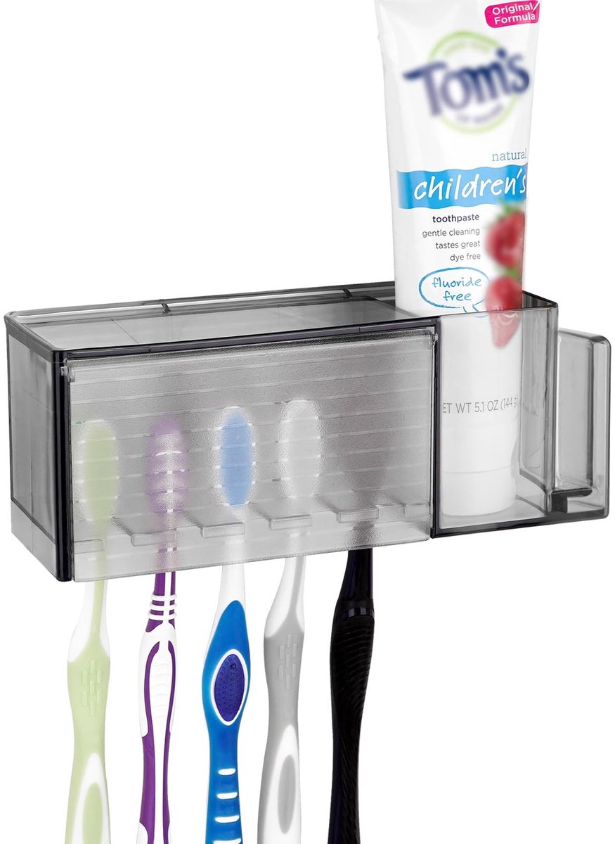 Dailygoody - Tandenborstelhouder - Wandgemonteerd - Ruimtebesparend - Grijs - Organizer voor tandpasta en tandenborstels - Geschikt voor badkamer en s...