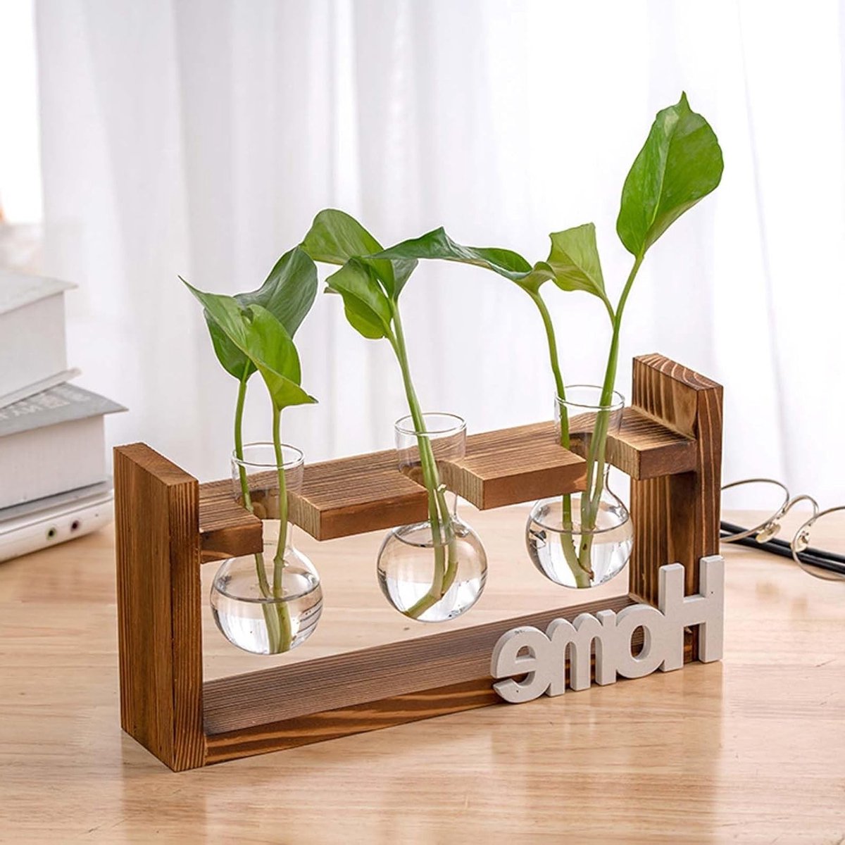 Hydroponische Glazen Vazen met Houten Houder - Mini Terrarium voor Planten, Propagatiestation en Vintage Decor voor Thuis en Kantoor