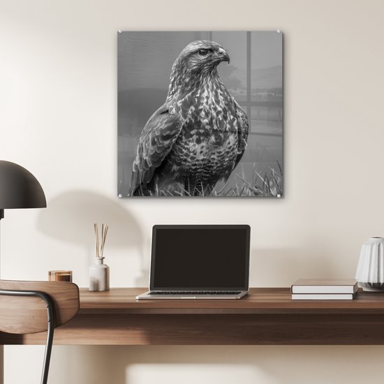 MuchoWow® Peinture sur verre 50x50 cm - Peinture acrylique sur verre - Une buse est assise dans un champ - noir et blanc - Photo sur verre - Peintures