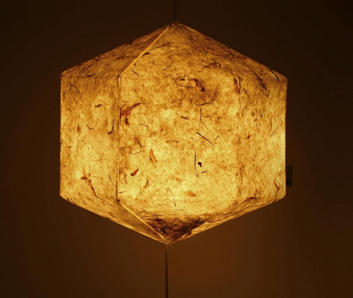 Papieren Lantaarn - Hanglamp Bloemblaadjes - Sfeervolle Decoratie - Handgemaakt Uniek Design - 27 x 27 cm - Wit