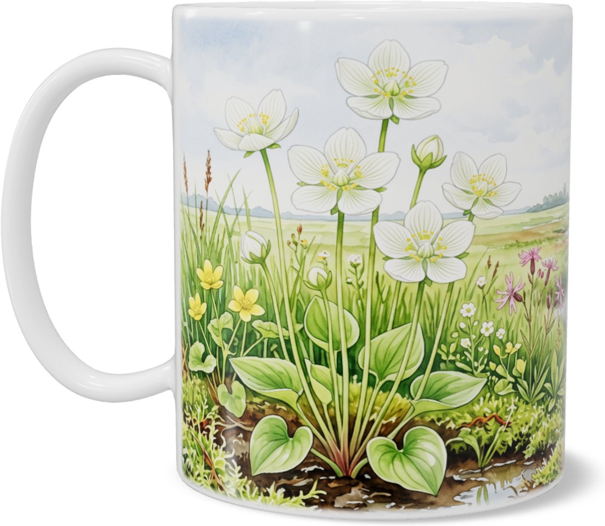 Mok parnassia Parnassia palustris witte bloem in rustig nat moeraslandschap aquarel