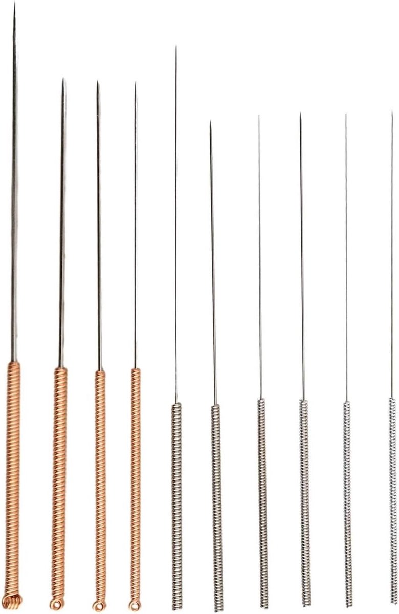 Reinigingsnaalden Set - Sproeieronderhoud - 3D Printer Onderhoud - Roestvrij Staal - 10 Stuks - Zilver Goud