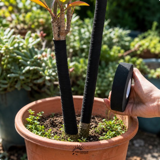 Hand wikkelt een zwarte tape rond twee dikke, groene plantenstengels in een terracotta pot.