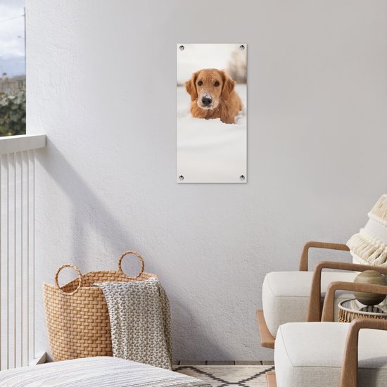 Affiche de jardin Chien - Neige - Hiver - 30x60 cm - Toile jardin - Affiche extérieure