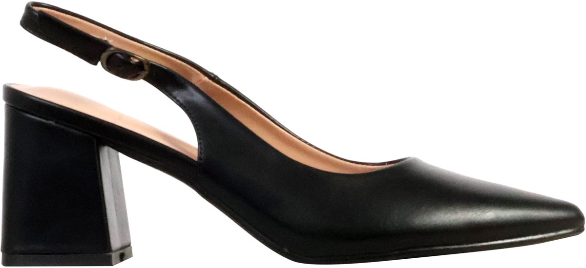 LBS-pumps