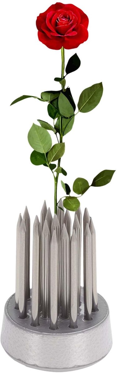 Dailygoods- Bloemenkikker - Roestvrij Staal - Kikker met Naald 15 mm - Bloemstukken - Tafelopzetstukken - Duurzaam Ontwerp - Bloemschikking