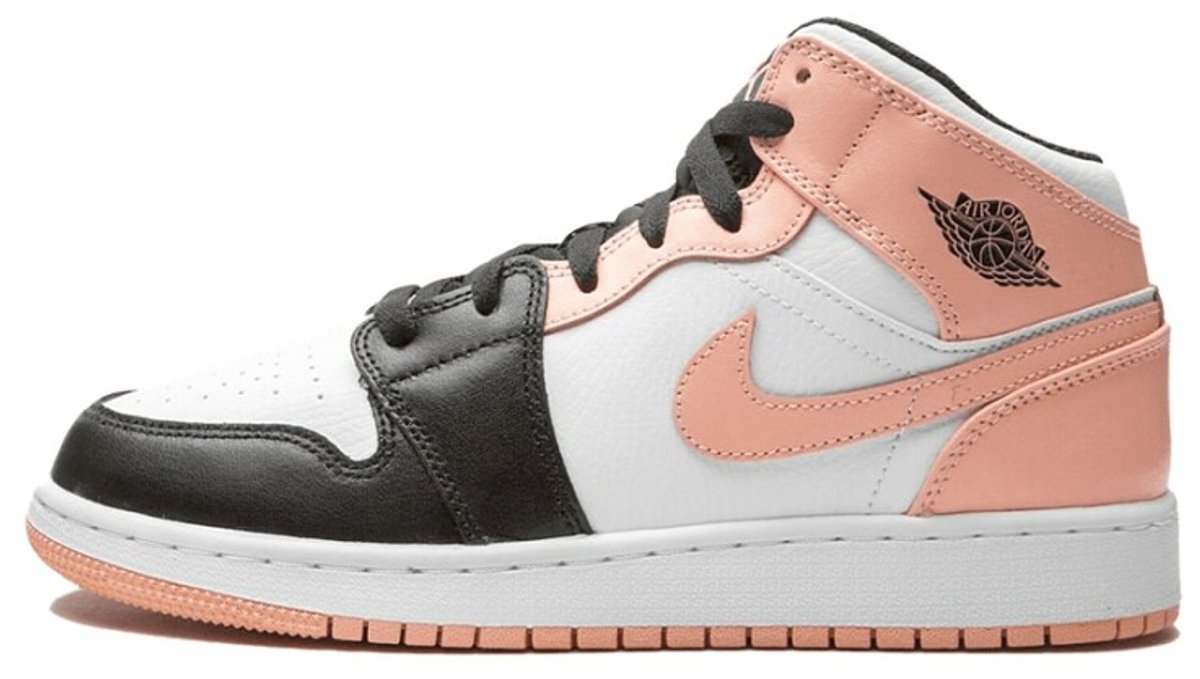 Air Jordan 1 Mid Arcitc Multikleur