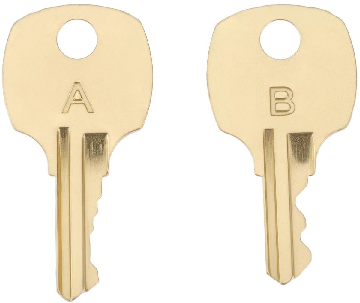 SOUQONE- Sleutelset Goud - 2x Borstsleutel - Compatibel met Lane Cedar S-serie - Veiligheidssloten - Eenvoudig te installeren - Metaal