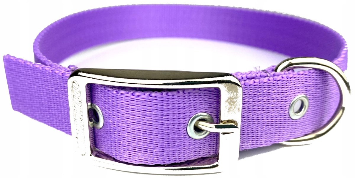 Hondenlijn 140 cm / 25 mm - Sterke Polipropyleen Band - Paars