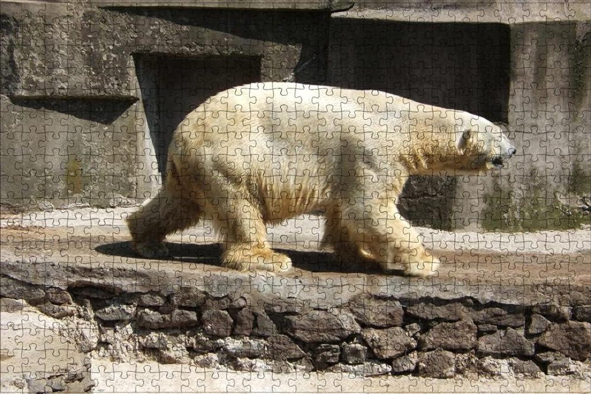 Houten Puzzel - 1000 Stukjes - Ontspannend Tijdverdrijf - Nauwkeurig Gesneden Stukjes - 75x50cm - Meerdere Kleuren