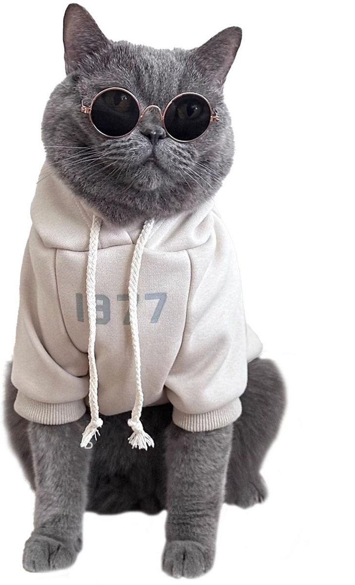 Dailygoods- Kattenkleding Winterjas - Katoenen Shirt - Fleece Voering - Maat M - Comfortabel en Warm - Abrikoos - Huisdierkleding