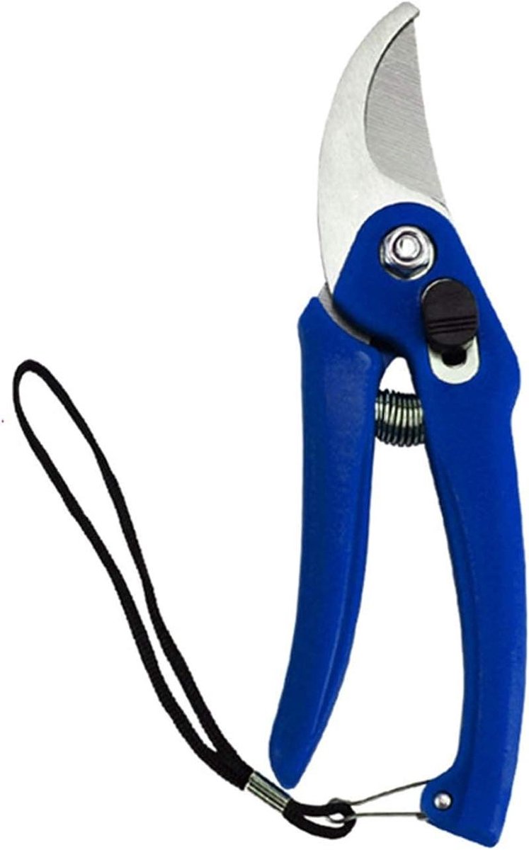 Tuingereedschap - Snoeischaar takken - Snoeien planten - Roestvrij staal - 1 stuk - Blauw