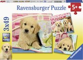 Puzzel 3x49 stukjes Schattige hondjes