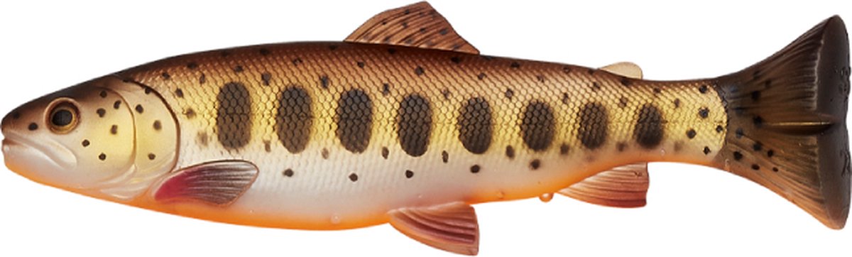 Savage Gear 3D Craft Trout 16cm 53g - Voorn kunstkarkas
