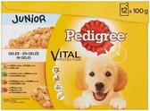Pedigree Junior - Maaltijdzakjes - 12 x 100 g