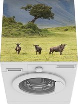 Wasmachine beschermer mat - Wilde dieren op de groene savanne in de Ngorongoro krater - Breedte 60 cm x hoogte 60 cm