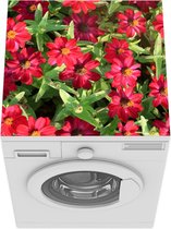 Wasmachine beschermer mat - Rode zinnia bloemen tijdens een zonnige dag - Breedte 60 cm x hoogte 60 cm
