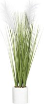 Kunstplant in pot pampasgras 70 cm -Groen riet gras/pluimgras kunstplant 70 cm Siergras in witte cementen  pot