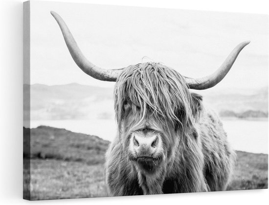 Artaza - Peinture sur toile - Highlander écossais en Zwart et Wit - 90x60 - Photo sur toile - Impression sur toile