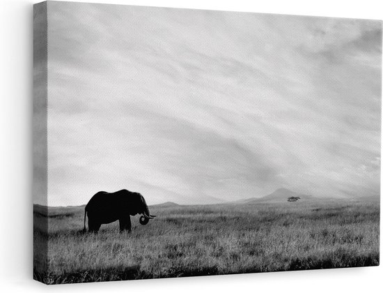 Artaza Canvas Schilderij Olifant in het Savanne Veld - Zwart Wit - 60x40 - Foto Op Canvas - Canvas Print