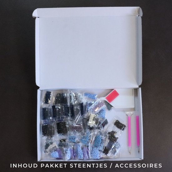 Peinture au Diamond - Coucher de soleil derrière la porte - Fabriqué aux Pays- Nederland - 30 x 40 cm - matériel de toile - pierres carrées - Livré sous 2-3 jours ouvrables