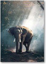 Olifant - 50x70 Poster Staand - Besteposter - Dieren