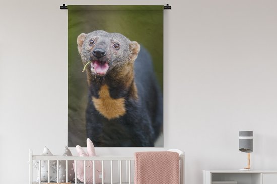 Tenture murale - Tissu mural - Manger tayra - 90x135 cm - Tapisserie