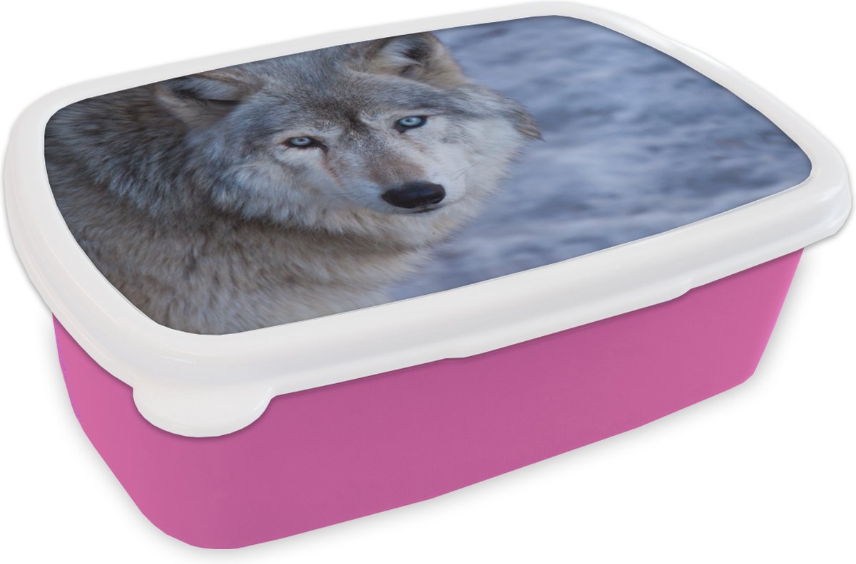 Broodtrommel Roze - Lunchbox - Brooddoos - Kop van grijze wolf - 18x12x6 cm - Kinderen - Meisje