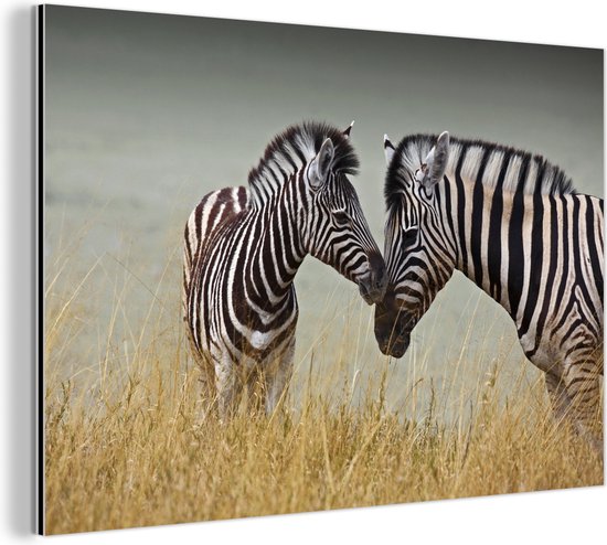 Wanddecoratie Metaal - Aluminium Schilderij - Moeder zebra en haar jong