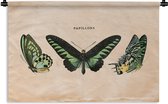 Tapisserie - Tapisserie - Papillon - Animal - Insecte - 90x60 cm - Tapisserie