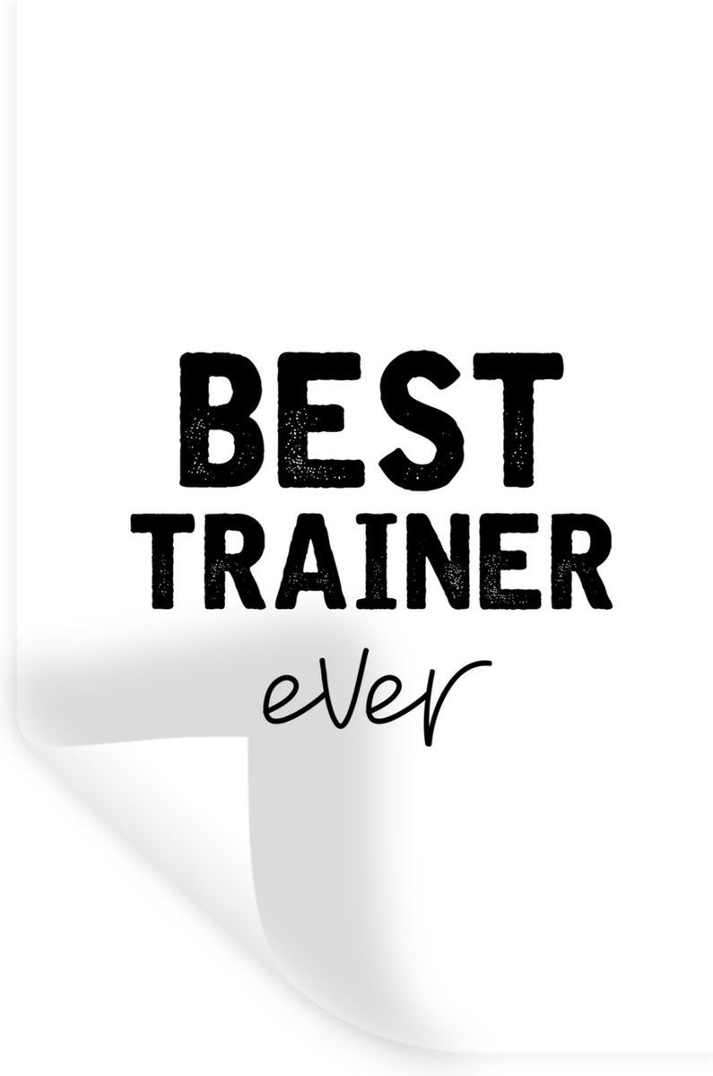 Muurstickers - Sticker Folie - Trainer - Beste - Quote - 40x60 cm - Plakfolie - Muursticke