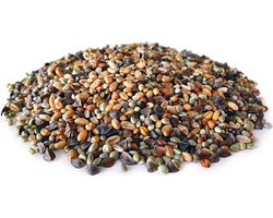 Golden Partikel Mix 2,5KG | Karpervissen | Partikels | Karper Aas | Karper Vissen | Karper Voer | Karper