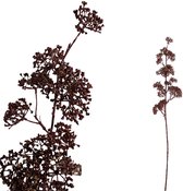 PTMD Leaves Plant Viburnum Kunsttak - 44 x 16 x 87 cm - Wijnrood