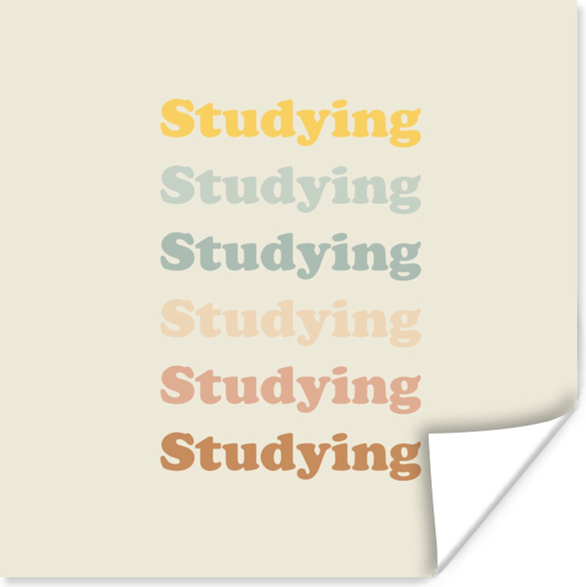 Poster Studeer - Leren - Quotes - Studenten - Study - 30x30 cm